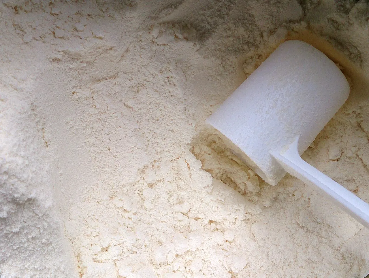 Lait en poudre